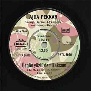 Ajda Pekkan - Son Arzu / Üzgün Yüzlü Dertli Akşam download free