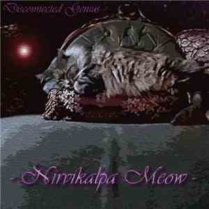 Disconnected Genius - Nirvikalpa Meow download mp3 flac