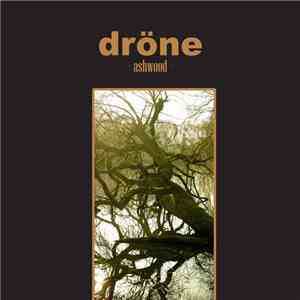 Dröne - Ashwood download free Dröne - Ashwood download mp3 flac