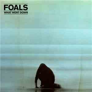 Foals - What Went Down download free