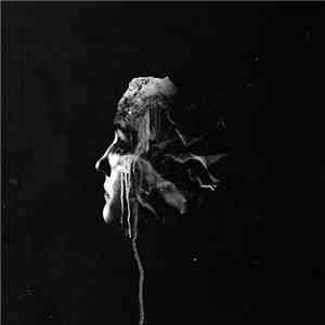 FVNERALS - The Light download free