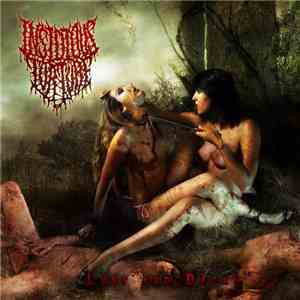 Insidious Torture - Lust And Decay download mp3 flac