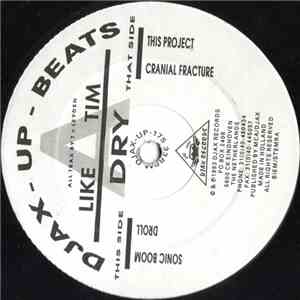 Like A Tim - Dry download free