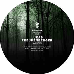 Lukas Freudenberger - Amplified download free Lukas Freudenberger - Amplified download mp3 flac