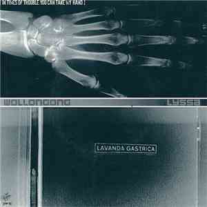 Lyssa / Wollongong - Lavanda Gastrica / In Times Of Trouble You Can Take My Hand download mp3 flac