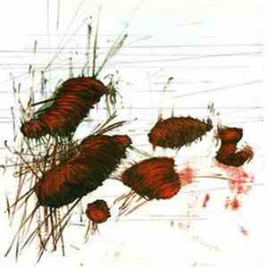 Madraso - Van Horne download mp3 flac
