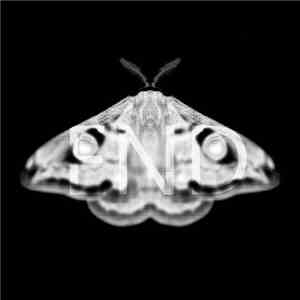 Martyn Hare - Emetic XXXVI download free