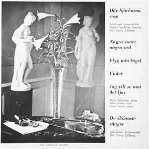 Odin Sikström, Jakobstads Konventskör - Där Björkarna Susa download mp3 flac
