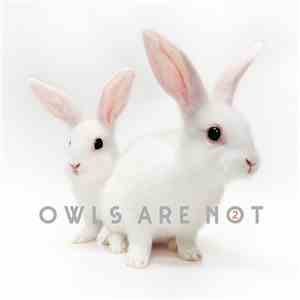 Owls Are Not - 2 download mp3 flac