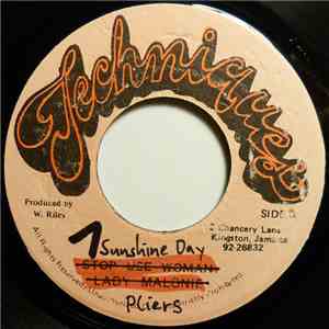 Pliers - Sunshine Day download free Pliers - Sunshine Day download mp3 flac