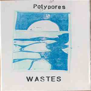 Polypores - Wastes download mp3 flac