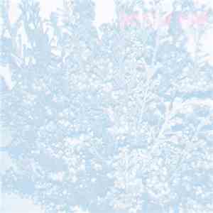 Pretty Sad - Pretty Sad EP download mp3 flac