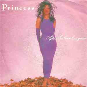 Princess - After The Love Has Gone download mp3 flac
