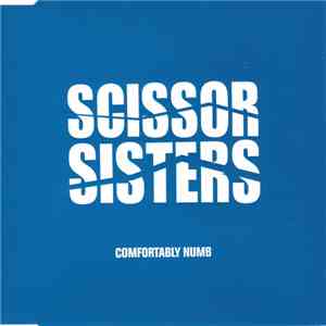 Scissor Sisters - Comfortably Numb download free