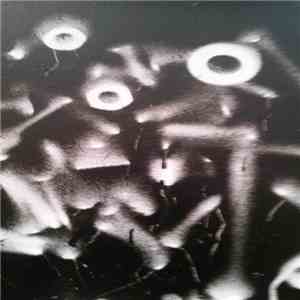 See Through Buildings - In Any Home download free See Through Buildings - In Any Home download mp3 flac