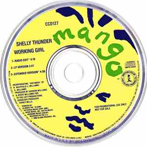 Shelly Thunder - Working Girl download mp3 flac