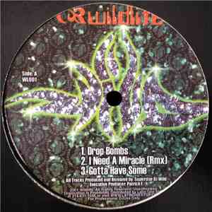 Superstar DJ Wild - Wildlife download free