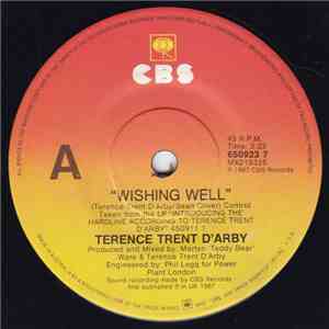 Terence Trent D'Arby - Wishing Well download mp3 flac