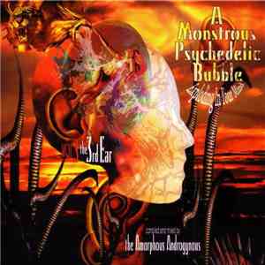 The Amorphous Androgynous - A Monstrous Psychedelic Bubble Exploding In Your Mind Vol 3 - The 3rd Ear download free