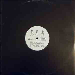 This Perfect Day - It's A Shame download mp3 flac