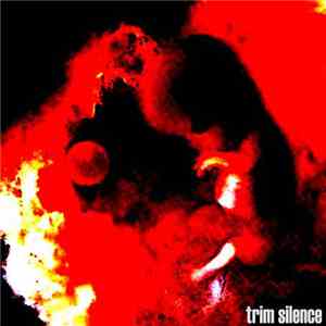 Trim Silence - Trim Silence download mp3 flac