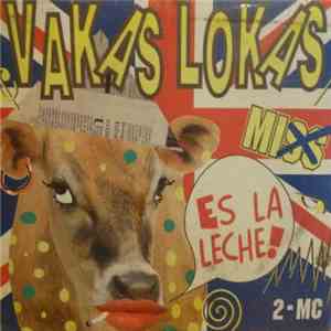 Various - Vakas Lokas Mix download mp3 flac