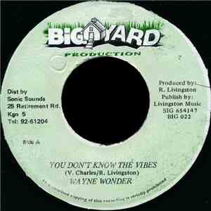 Wayne Wonder - You Don't Know The Vibes download free
