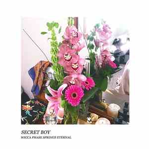 Wicca Phase Springs Eternal - Secret Boy download mp3 flac