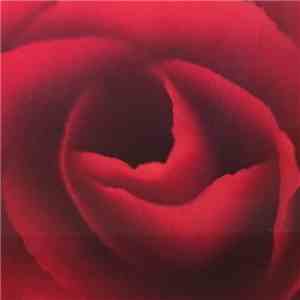 Yael Illah - Boi Kallah download free