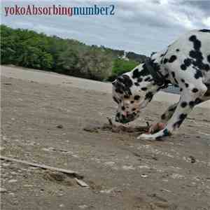Yoko Absorbing - Number 2 download mp3 flac